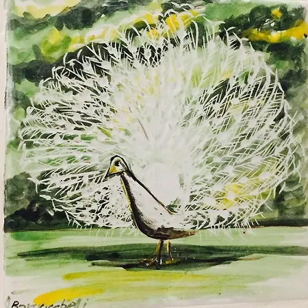 Il Pavone Готель типу 